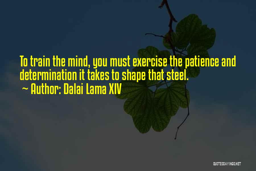 Dalai Lama XIV Quotes: To Train The Mind, You Must Exercise The Patience And Determination It Takes To Shape That Steel.