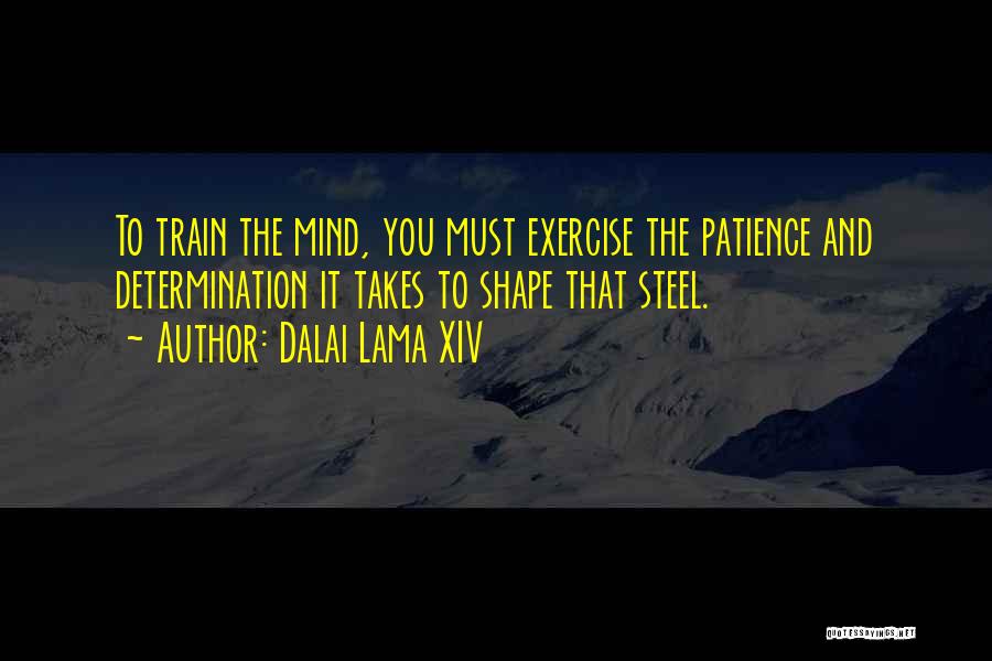Dalai Lama XIV Quotes: To Train The Mind, You Must Exercise The Patience And Determination It Takes To Shape That Steel.