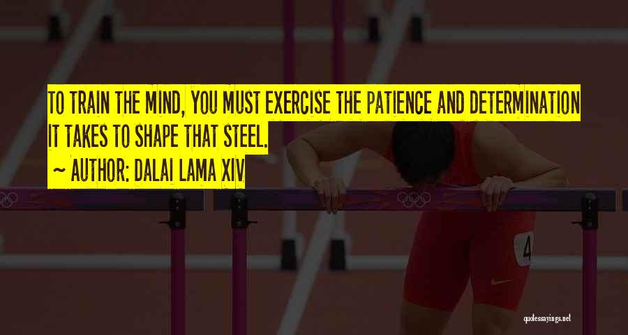 Dalai Lama XIV Quotes: To Train The Mind, You Must Exercise The Patience And Determination It Takes To Shape That Steel.