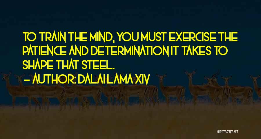 Dalai Lama XIV Quotes: To Train The Mind, You Must Exercise The Patience And Determination It Takes To Shape That Steel.