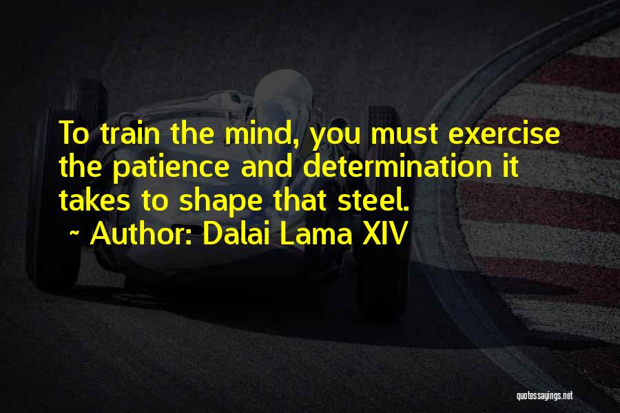 Dalai Lama XIV Quotes: To Train The Mind, You Must Exercise The Patience And Determination It Takes To Shape That Steel.