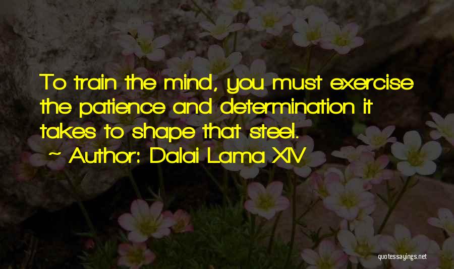 Dalai Lama XIV Quotes: To Train The Mind, You Must Exercise The Patience And Determination It Takes To Shape That Steel.