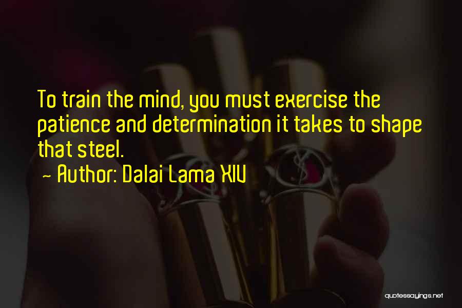 Dalai Lama XIV Quotes: To Train The Mind, You Must Exercise The Patience And Determination It Takes To Shape That Steel.