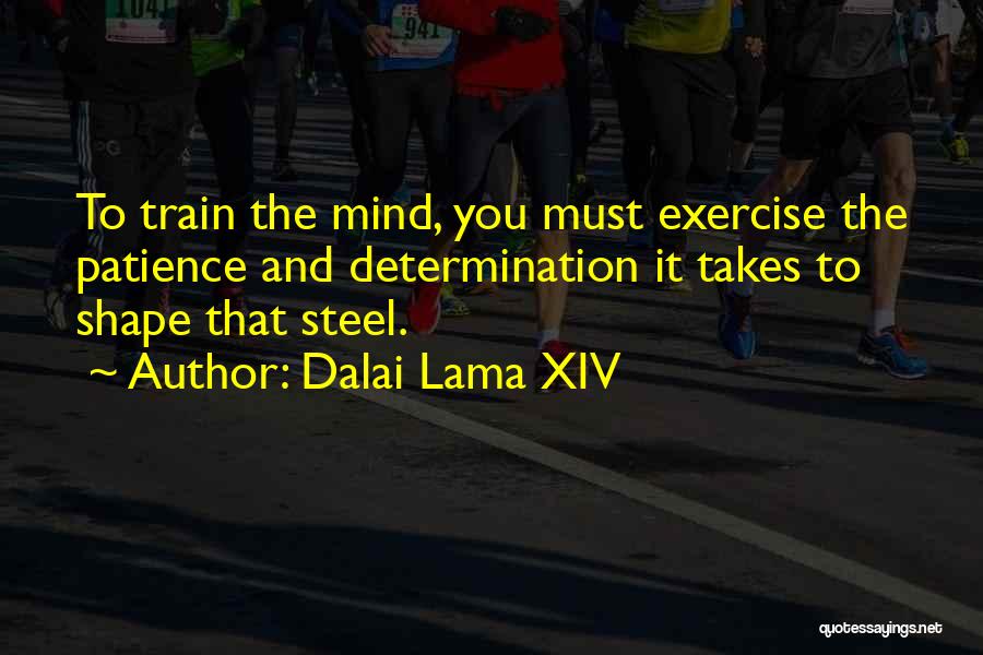 Dalai Lama XIV Quotes: To Train The Mind, You Must Exercise The Patience And Determination It Takes To Shape That Steel.