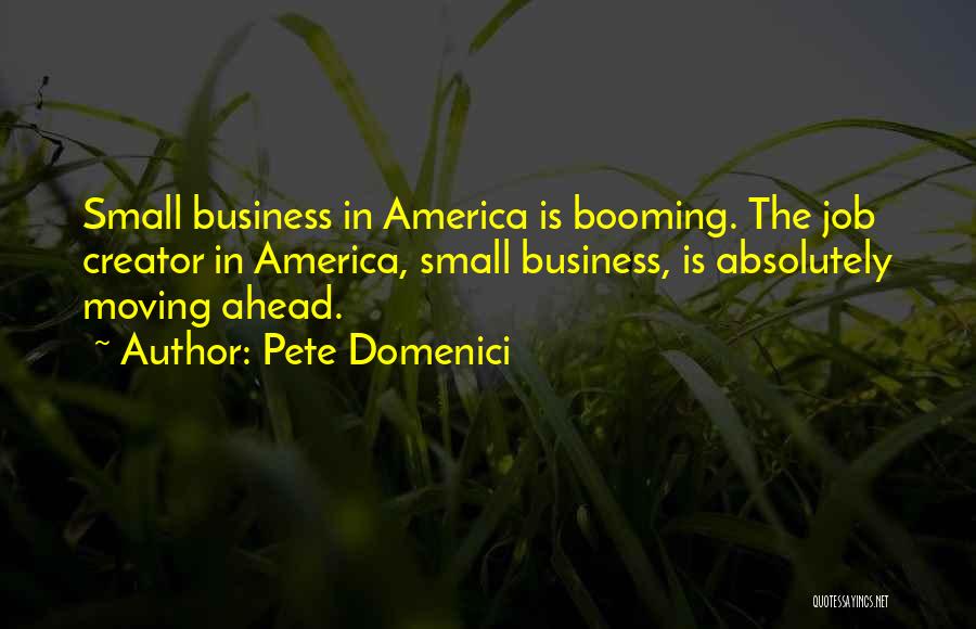 Pete Domenici Quotes: Small Business In America Is Booming. The Job Creator In America, Small Business, Is Absolutely Moving Ahead.