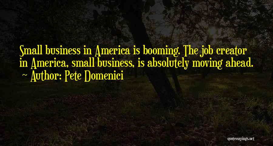 Pete Domenici Quotes: Small Business In America Is Booming. The Job Creator In America, Small Business, Is Absolutely Moving Ahead.