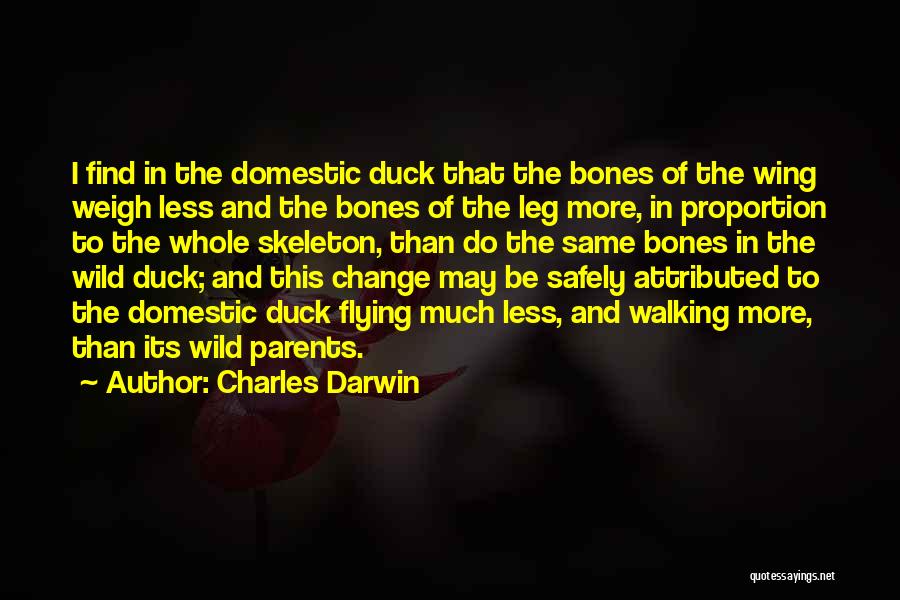 Charles Darwin Quotes: I Find In The Domestic Duck That The Bones Of The Wing Weigh Less And The Bones Of The Leg