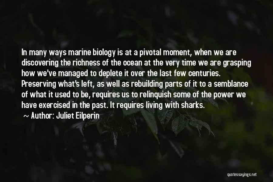 Juliet Eilperin Quotes: In Many Ways Marine Biology Is At A Pivotal Moment, When We Are Discovering The Richness Of The Ocean At