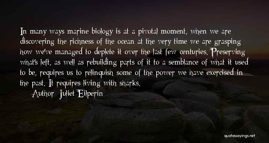 Juliet Eilperin Quotes: In Many Ways Marine Biology Is At A Pivotal Moment, When We Are Discovering The Richness Of The Ocean At