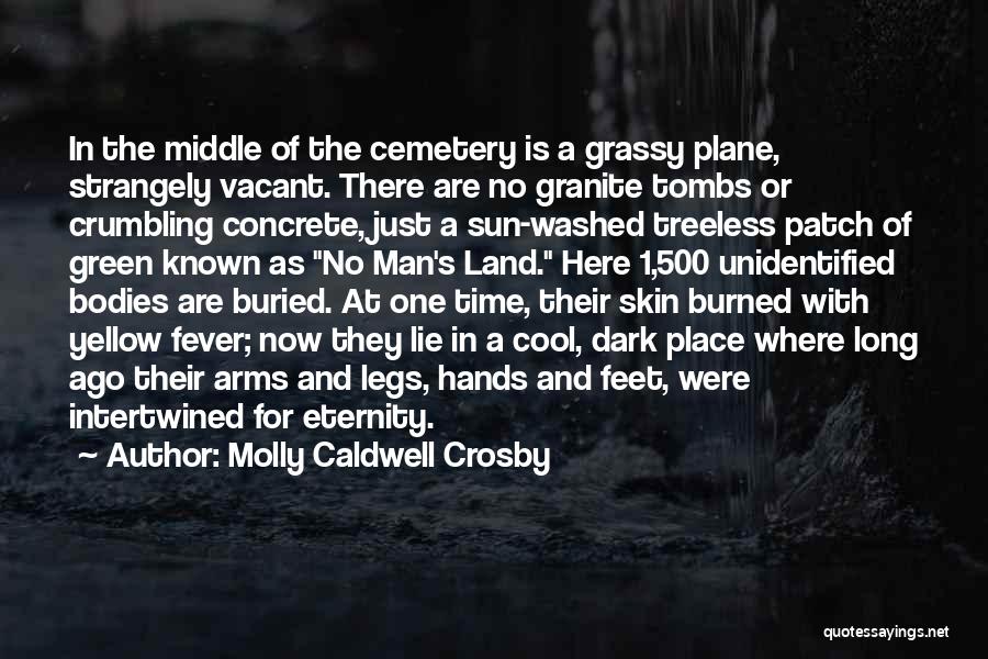 Molly Caldwell Crosby Quotes: In The Middle Of The Cemetery Is A Grassy Plane, Strangely Vacant. There Are No Granite Tombs Or Crumbling Concrete,