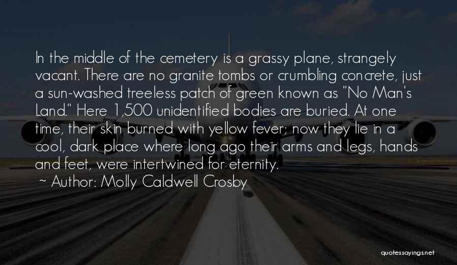 Molly Caldwell Crosby Quotes: In The Middle Of The Cemetery Is A Grassy Plane, Strangely Vacant. There Are No Granite Tombs Or Crumbling Concrete,