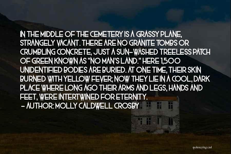 Molly Caldwell Crosby Quotes: In The Middle Of The Cemetery Is A Grassy Plane, Strangely Vacant. There Are No Granite Tombs Or Crumbling Concrete,