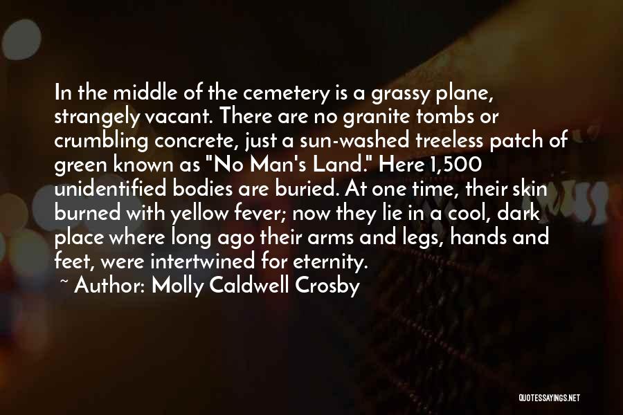 Molly Caldwell Crosby Quotes: In The Middle Of The Cemetery Is A Grassy Plane, Strangely Vacant. There Are No Granite Tombs Or Crumbling Concrete,