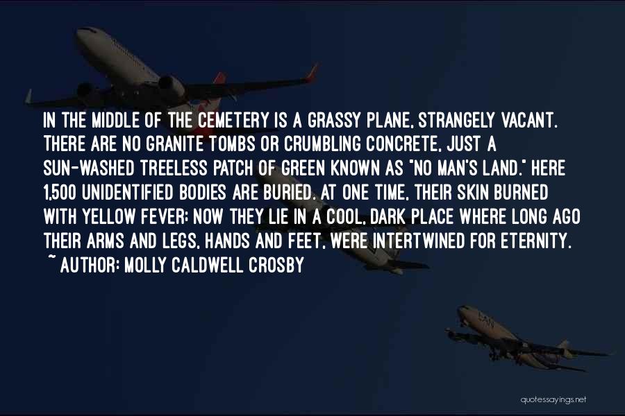 Molly Caldwell Crosby Quotes: In The Middle Of The Cemetery Is A Grassy Plane, Strangely Vacant. There Are No Granite Tombs Or Crumbling Concrete,