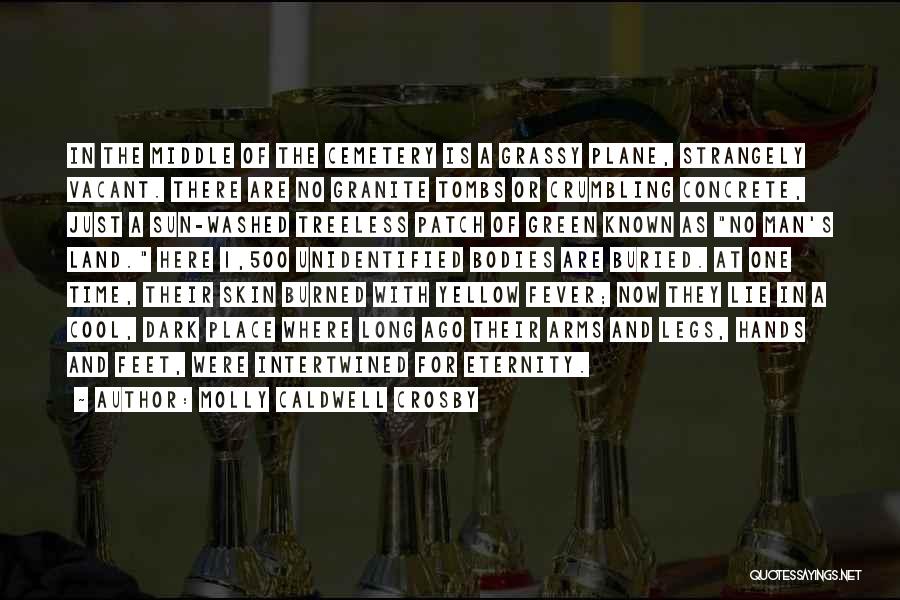 Molly Caldwell Crosby Quotes: In The Middle Of The Cemetery Is A Grassy Plane, Strangely Vacant. There Are No Granite Tombs Or Crumbling Concrete,