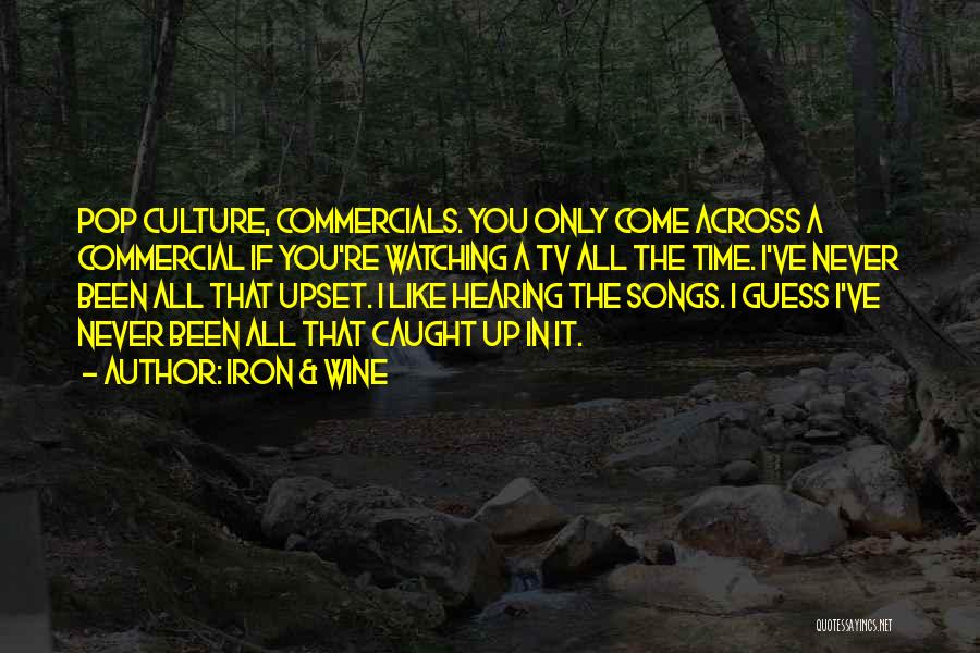 Iron & Wine Quotes: Pop Culture, Commercials. You Only Come Across A Commercial If You're Watching A Tv All The Time. I've Never Been