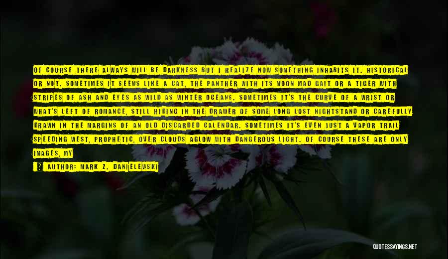 Mark Z. Danielewski Quotes: Of Course There Always Will Be Darkness But I Realize Now Something Inhabits It. Historical Or Not. Sometimes It Seems