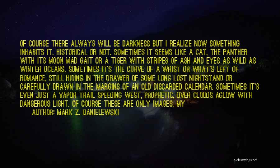 Mark Z. Danielewski Quotes: Of Course There Always Will Be Darkness But I Realize Now Something Inhabits It. Historical Or Not. Sometimes It Seems