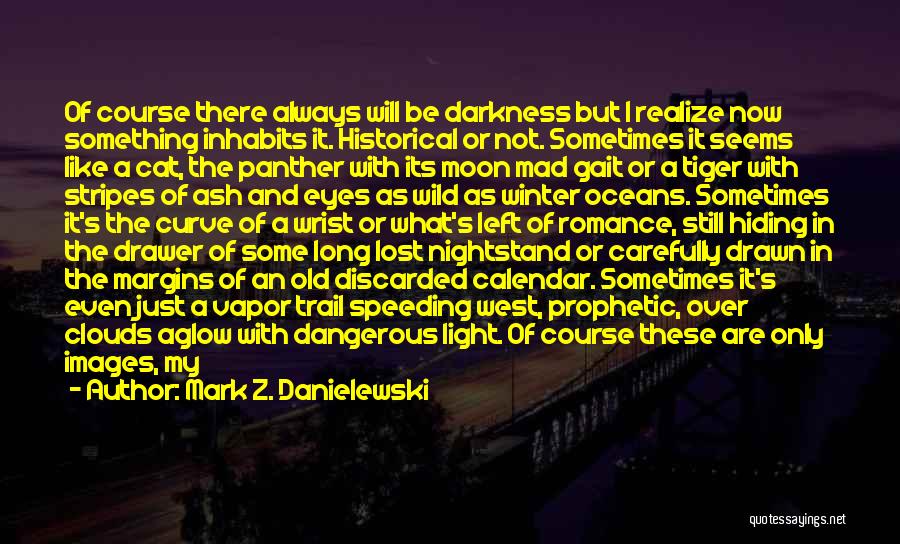 Mark Z. Danielewski Quotes: Of Course There Always Will Be Darkness But I Realize Now Something Inhabits It. Historical Or Not. Sometimes It Seems