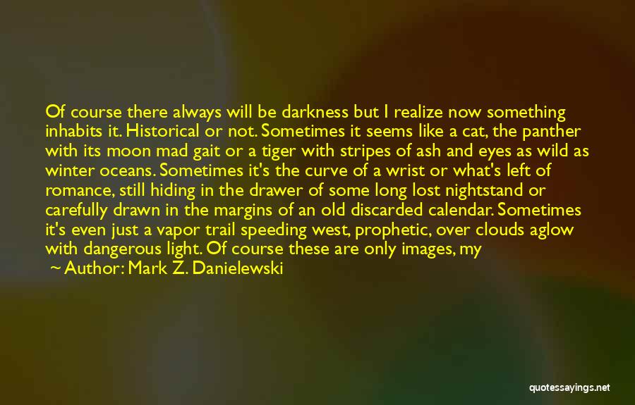 Mark Z. Danielewski Quotes: Of Course There Always Will Be Darkness But I Realize Now Something Inhabits It. Historical Or Not. Sometimes It Seems