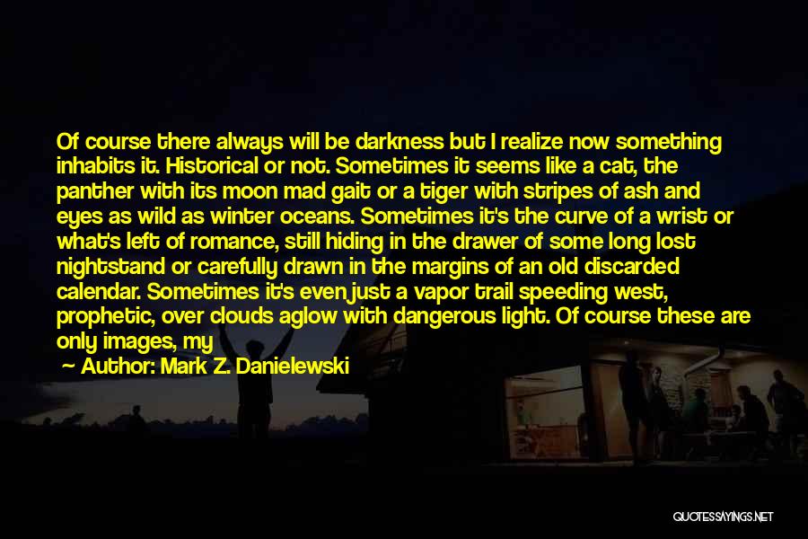 Mark Z. Danielewski Quotes: Of Course There Always Will Be Darkness But I Realize Now Something Inhabits It. Historical Or Not. Sometimes It Seems