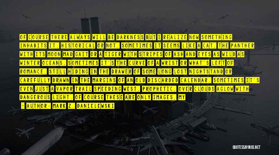 Mark Z. Danielewski Quotes: Of Course There Always Will Be Darkness But I Realize Now Something Inhabits It. Historical Or Not. Sometimes It Seems