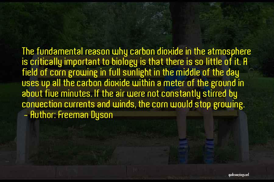 Freeman Dyson Quotes: The Fundamental Reason Why Carbon Dioxide In The Atmosphere Is Critically Important To Biology Is That There Is So Little