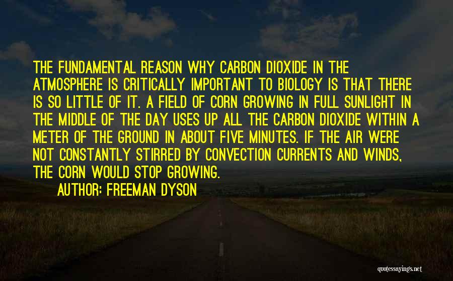 Freeman Dyson Quotes: The Fundamental Reason Why Carbon Dioxide In The Atmosphere Is Critically Important To Biology Is That There Is So Little