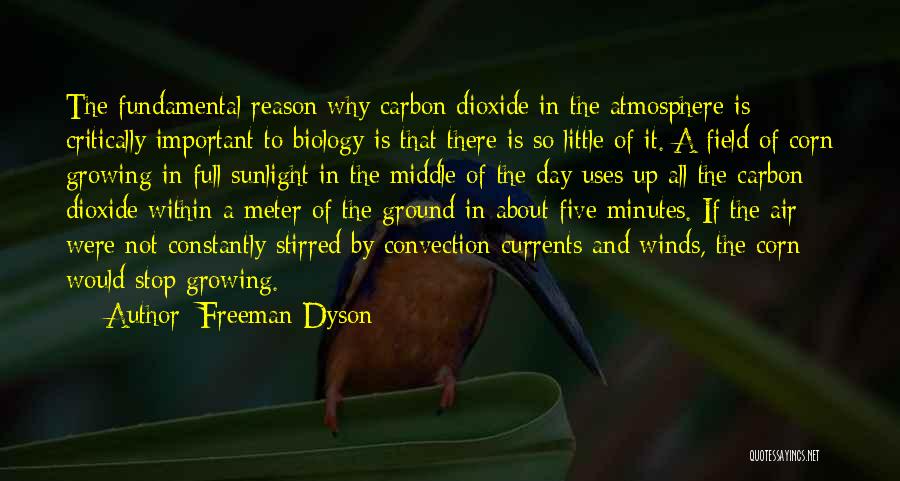 Freeman Dyson Quotes: The Fundamental Reason Why Carbon Dioxide In The Atmosphere Is Critically Important To Biology Is That There Is So Little