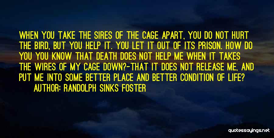 Randolph Sinks Foster Quotes: When You Take The Sires Of The Cage Apart, You Do Not Hurt The Bird, But You Help It. You