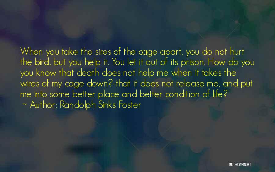 Randolph Sinks Foster Quotes: When You Take The Sires Of The Cage Apart, You Do Not Hurt The Bird, But You Help It. You