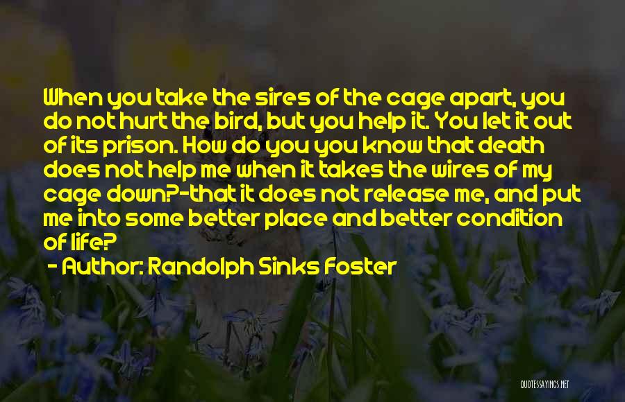 Randolph Sinks Foster Quotes: When You Take The Sires Of The Cage Apart, You Do Not Hurt The Bird, But You Help It. You