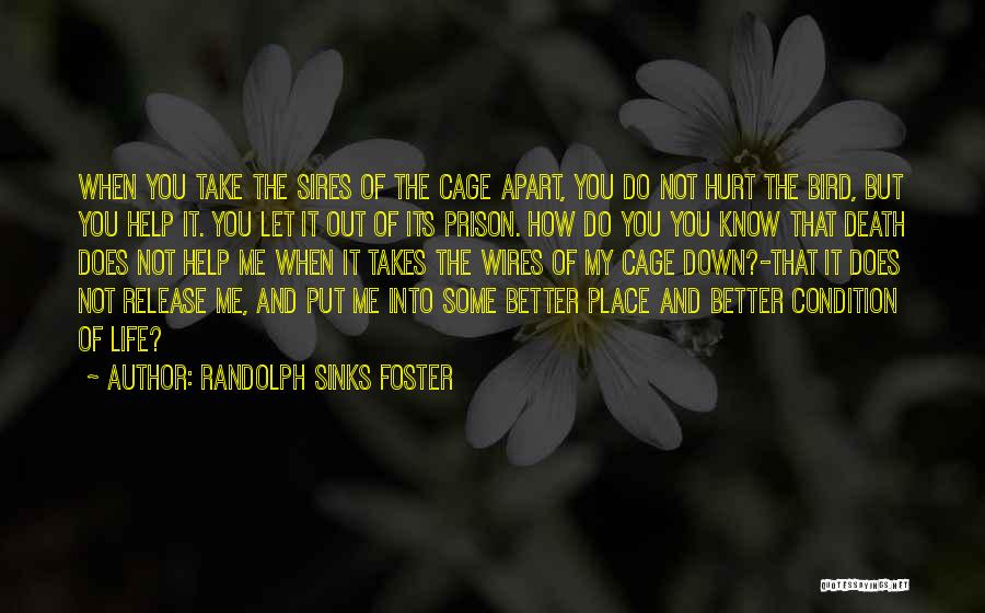 Randolph Sinks Foster Quotes: When You Take The Sires Of The Cage Apart, You Do Not Hurt The Bird, But You Help It. You