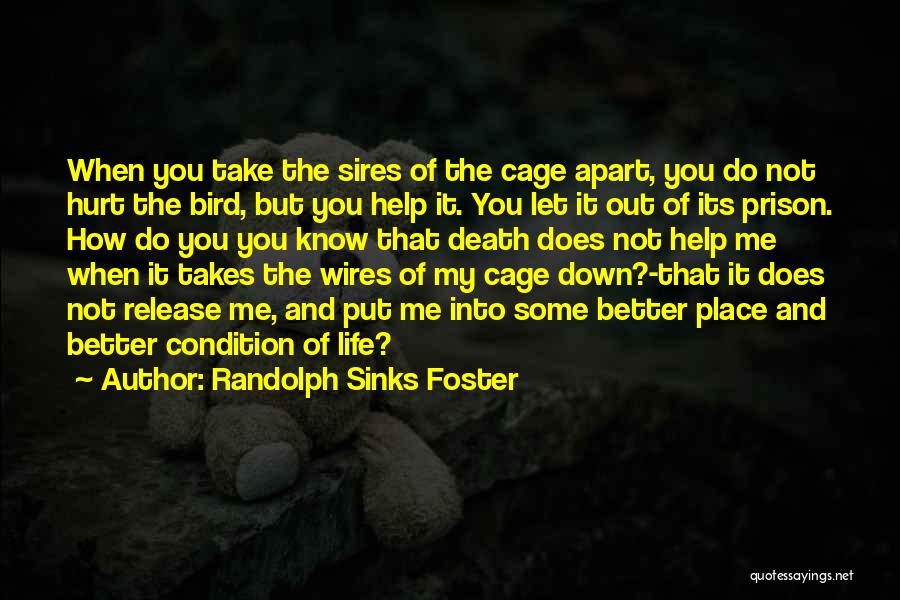 Randolph Sinks Foster Quotes: When You Take The Sires Of The Cage Apart, You Do Not Hurt The Bird, But You Help It. You