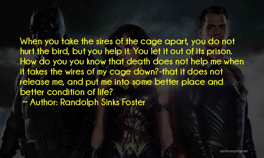 Randolph Sinks Foster Quotes: When You Take The Sires Of The Cage Apart, You Do Not Hurt The Bird, But You Help It. You