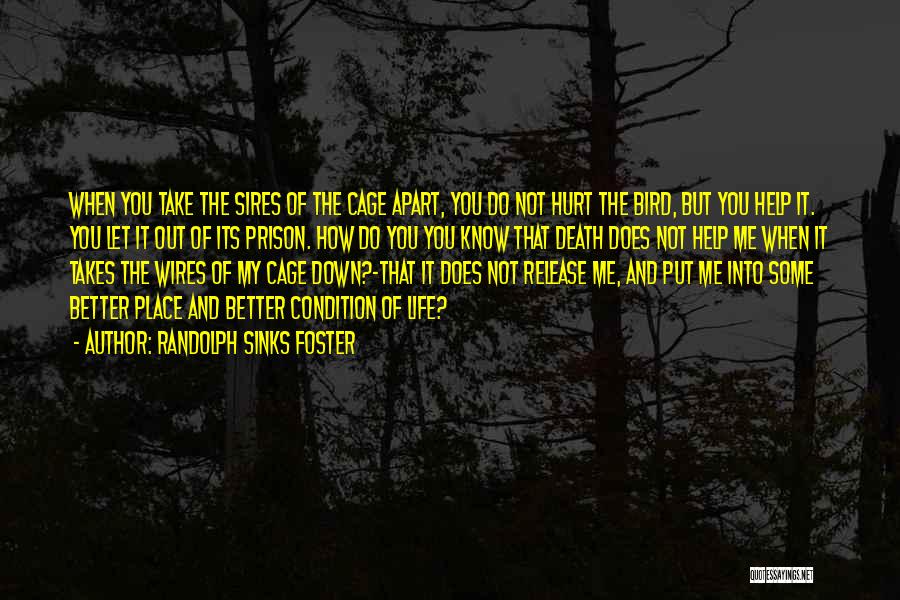 Randolph Sinks Foster Quotes: When You Take The Sires Of The Cage Apart, You Do Not Hurt The Bird, But You Help It. You