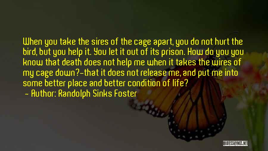 Randolph Sinks Foster Quotes: When You Take The Sires Of The Cage Apart, You Do Not Hurt The Bird, But You Help It. You