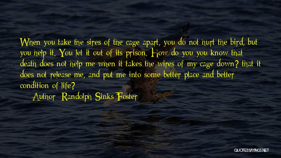 Randolph Sinks Foster Quotes: When You Take The Sires Of The Cage Apart, You Do Not Hurt The Bird, But You Help It. You