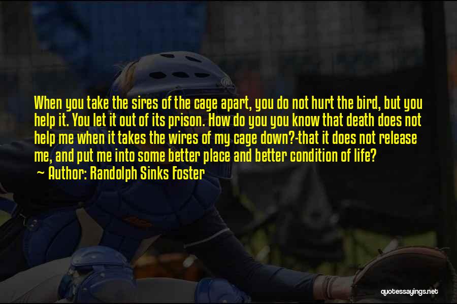 Randolph Sinks Foster Quotes: When You Take The Sires Of The Cage Apart, You Do Not Hurt The Bird, But You Help It. You