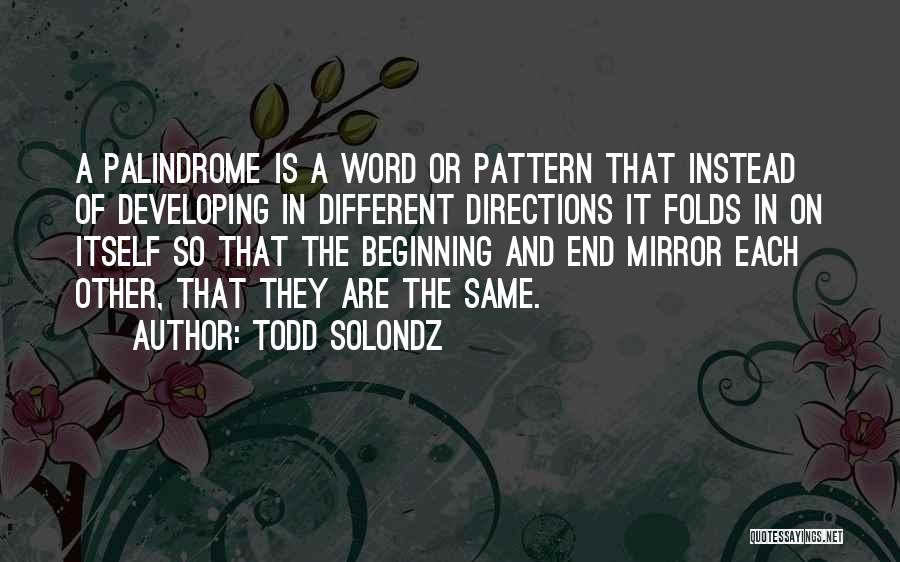 Todd Solondz Quotes: A Palindrome Is A Word Or Pattern That Instead Of Developing In Different Directions It Folds In On Itself So