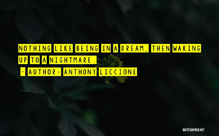 Anthony Liccione Quotes: Nothing Like Being In A Dream, Then Waking Up To A Nightmare.
