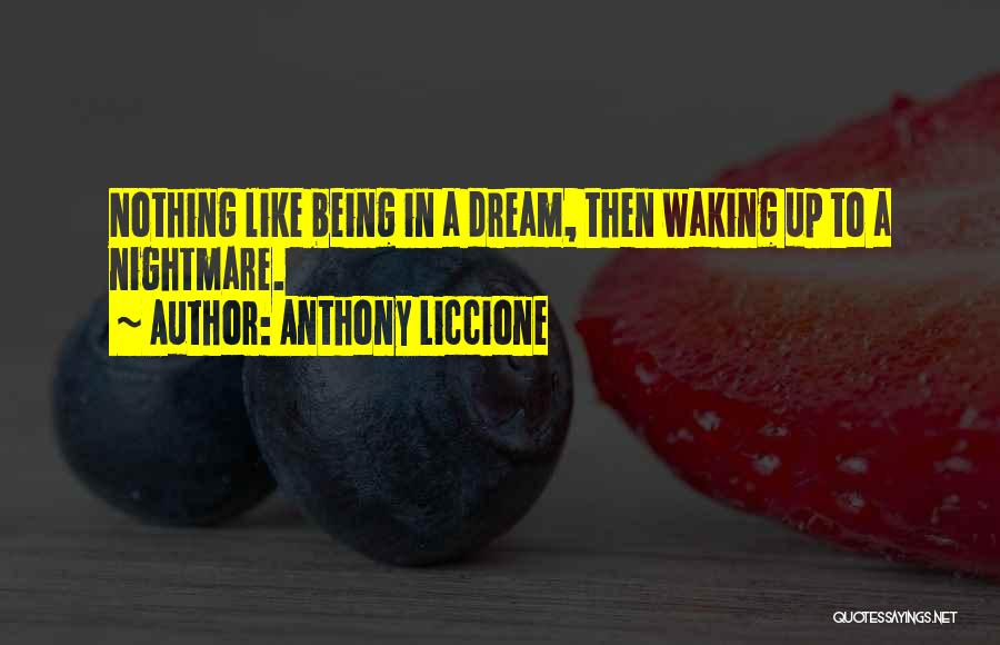 Anthony Liccione Quotes: Nothing Like Being In A Dream, Then Waking Up To A Nightmare.