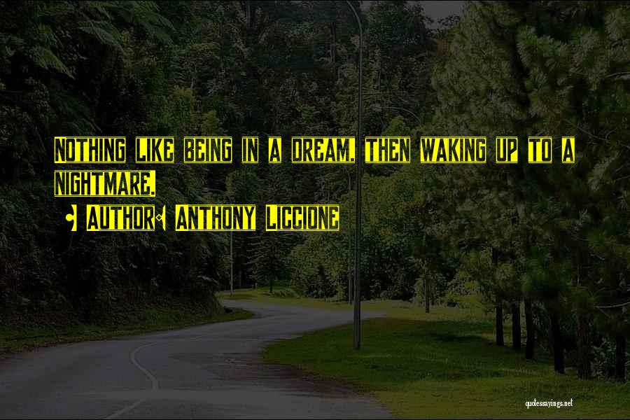 Anthony Liccione Quotes: Nothing Like Being In A Dream, Then Waking Up To A Nightmare.