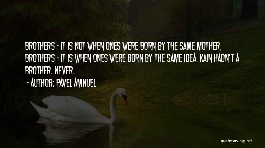 Pavel Amnuel Quotes: Brothers - It Is Not When Ones Were Born By The Same Mother, Brothers - It Is When Ones Were