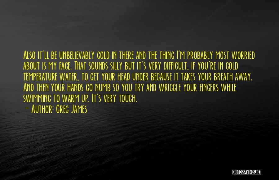 Greg James Quotes: Also It'll Be Unbelievably Cold In There And The Thing I'm Probably Most Worried About Is My Face. That Sounds