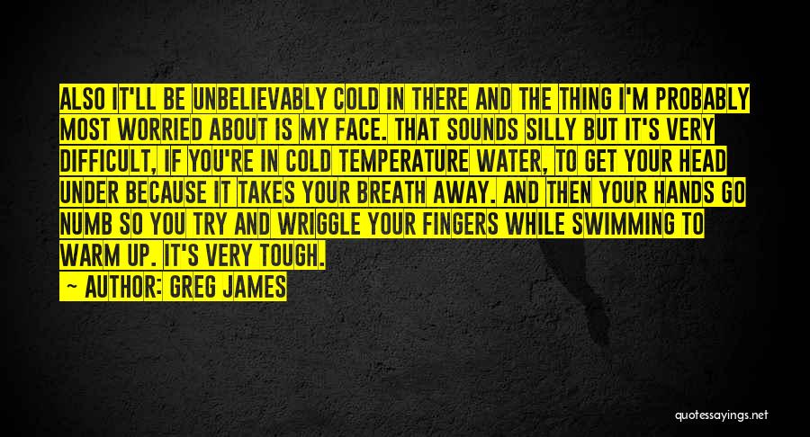 Greg James Quotes: Also It'll Be Unbelievably Cold In There And The Thing I'm Probably Most Worried About Is My Face. That Sounds