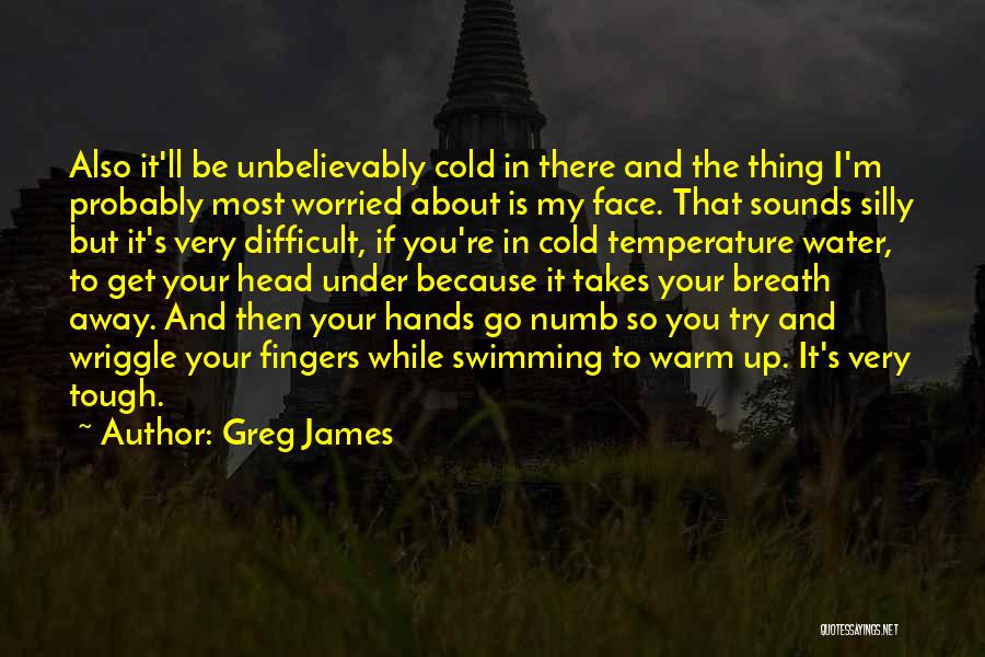 Greg James Quotes: Also It'll Be Unbelievably Cold In There And The Thing I'm Probably Most Worried About Is My Face. That Sounds