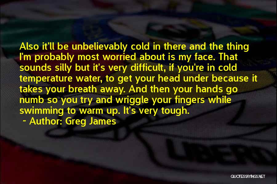 Greg James Quotes: Also It'll Be Unbelievably Cold In There And The Thing I'm Probably Most Worried About Is My Face. That Sounds