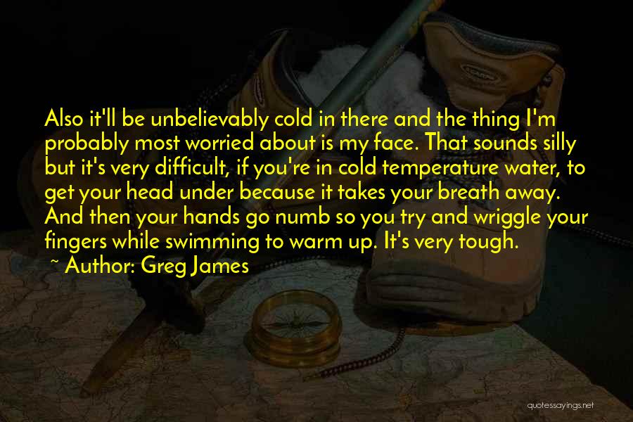 Greg James Quotes: Also It'll Be Unbelievably Cold In There And The Thing I'm Probably Most Worried About Is My Face. That Sounds