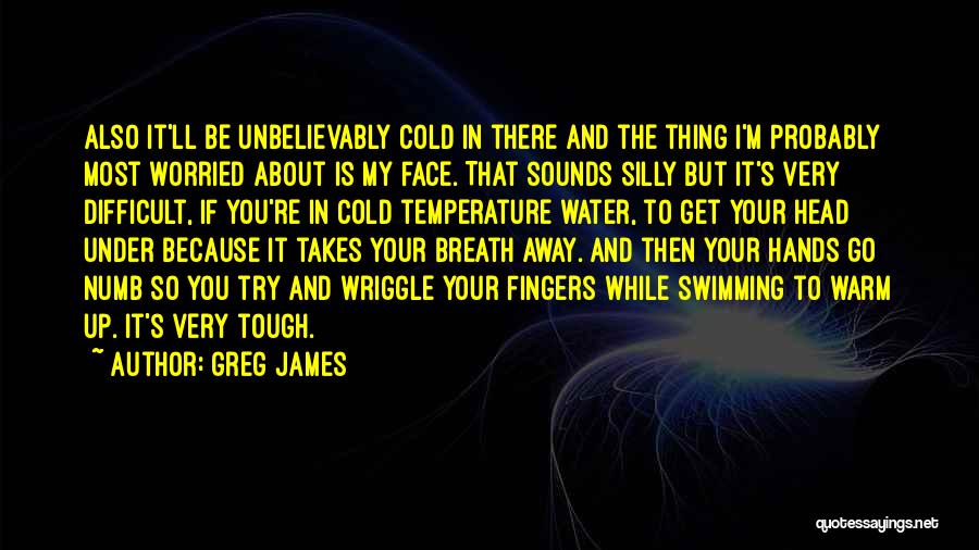 Greg James Quotes: Also It'll Be Unbelievably Cold In There And The Thing I'm Probably Most Worried About Is My Face. That Sounds